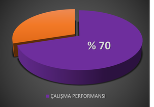 https://www.perfectmindcoachacademy.com/wp-content/uploads/2021/03/resim-4-ali-ma-performansi_2.png